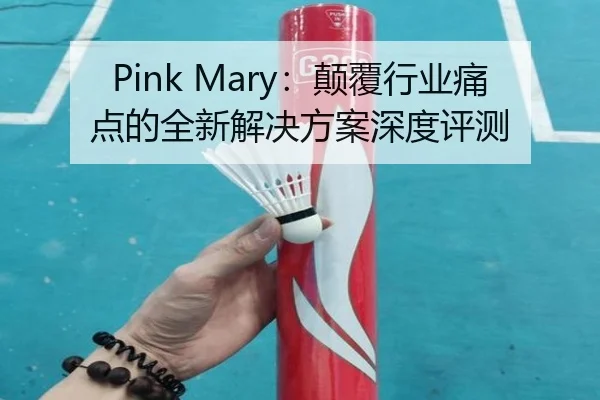 Pink Mary：颠覆行业痛点的全新解决方案深度评测