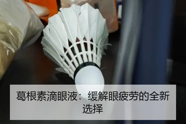 葛根素滴眼液：缓解眼疲劳的全新选择